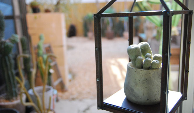 BIRDHOUSE｜“いのち（生命）の森”の植物イベント開催 ギャラリー