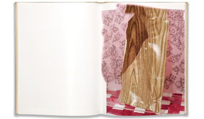 BOOK｜「記録になる」作品集『Windows Mirrors Tabletops』 ギャラリー