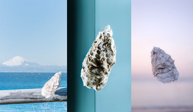 ART｜カキが主役の写真展!?『カキ展』 ギャラリー