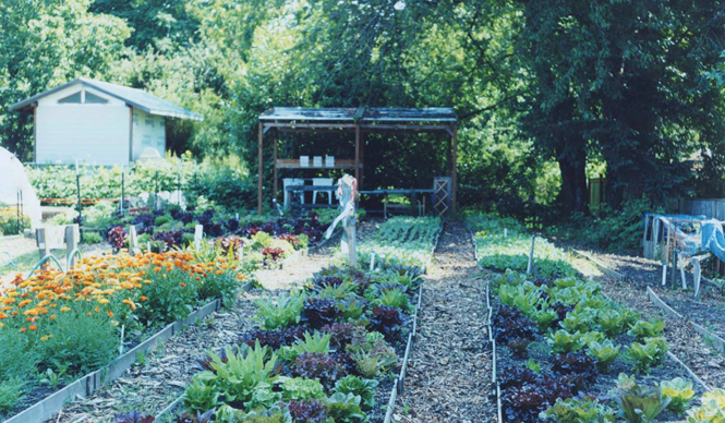 EAT｜ポートランドでアーバンファームを営むシェフが来日 ギャラリー