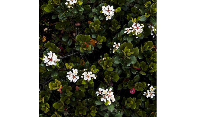 ART｜鈴木達哉写真展『Patterns in Discontinuity』 ギャラリー