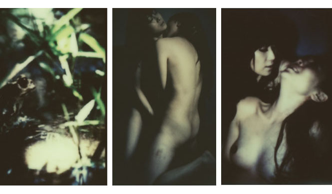 ART｜写真家の沢渡朔による個展『雨』 ギャラリー