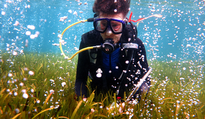 MOVIE｜「グリーンイメージ国際環境映像祭」開催！ ギャラリー