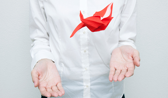 Perrocaliente｜形状記憶のクリーナー「peti peto」 おめでたい紅白セットで登場