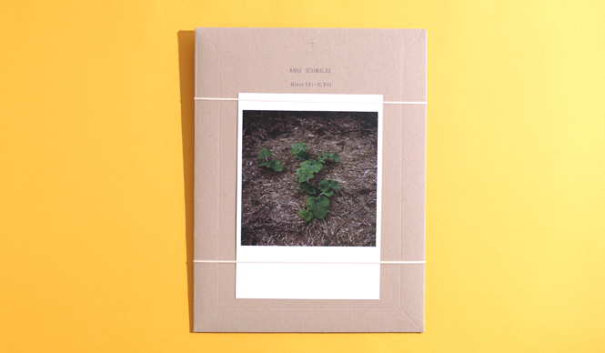 連載｜体感する読書～THE READING EXPERIENCE～｜第11回「名もなき花」 ギャラリー