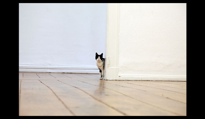 method｜モダンジュエリー「SCHMUCK2」の展覧会 開催 ギャラリー