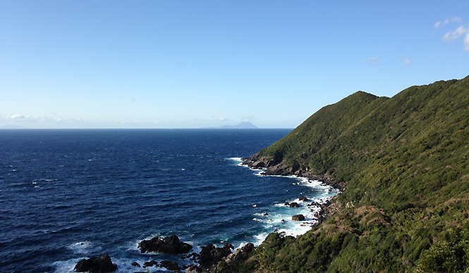 TRAVEL｜週末、縄文杉に会いに行く ギャラリー