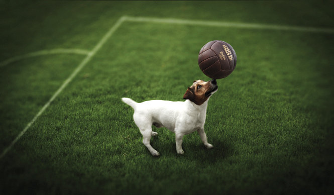 EVENT｜アードベッグがピート・サッカー大会を開催 ギャラリー