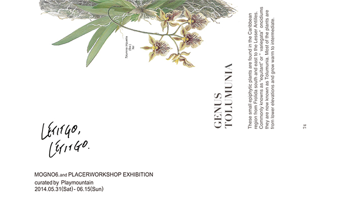 CURATOR’S CUBE｜原種の蘭とグラフィックによるエキシビション ギャラリー