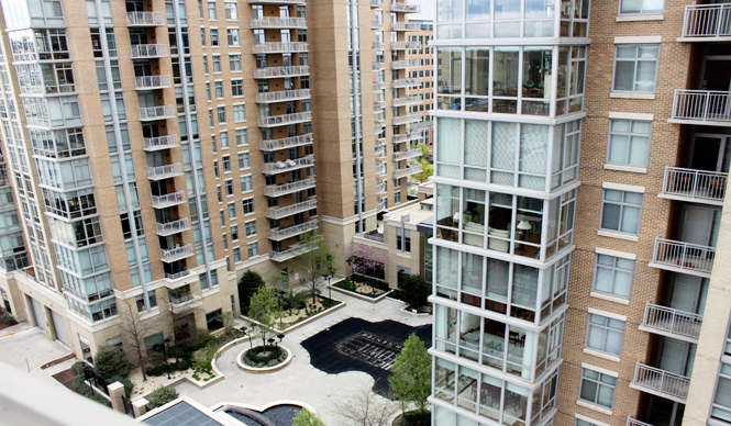 連載・Yoko Ueno Lewis｜暮らしノート・第15回 「レストン・ヴァージニアで考えたこと」（前編） ギャラリー