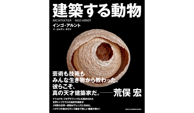 BOOK｜動物たちが築いた神秘的な形状の数々　写真集「建築する動物」