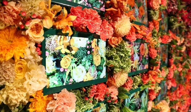 SAMSUNG｜プレミアムタブレット「GALAXY Tab S」が新発売 ギャラリー