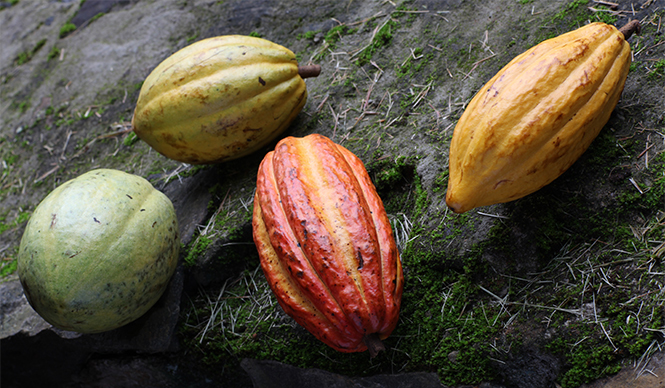 EAT｜ジャン＝ポール・エヴァンが提案する“夏の処方箋” ギャラリー