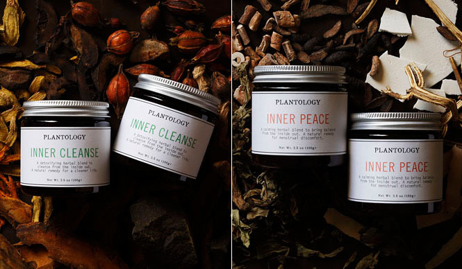 PLANTOLOGY｜100％ナチュラルの漢方サプリメントの魅力 ギャラリー