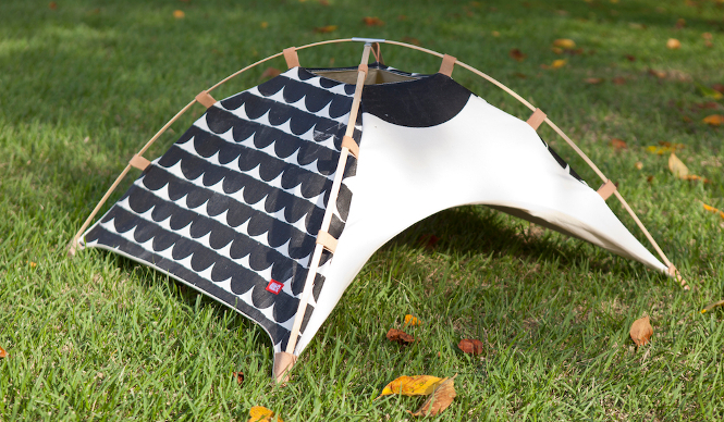 41世紀｜猫用テントがデザイナー・神山隆二氏とコラボレーション