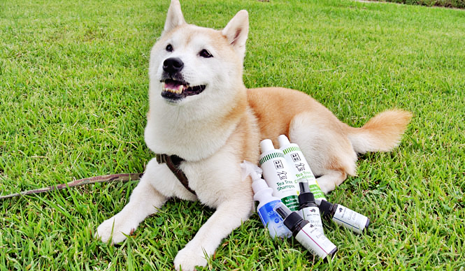 Takakura｜ペットにも飼い主にも快適で安全な最新アイテム