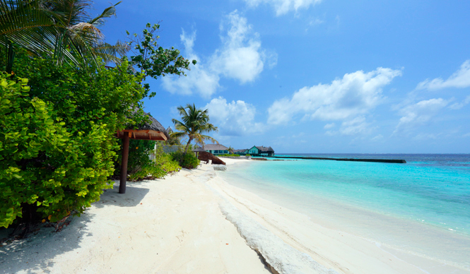 特集｜インド洋に浮かぶ理想郷｜第1章「モルディブという名の唯一無二のリゾート体験」 ギャラリー