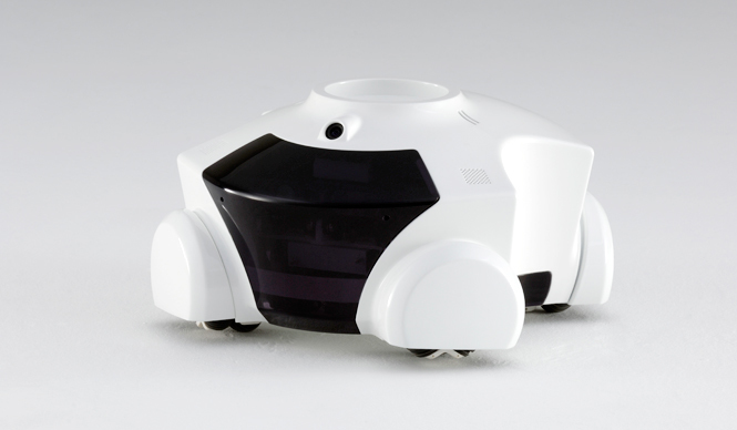 Flower Robotics｜成長する家庭用ロボット「パタン」を開発 ギャラリー