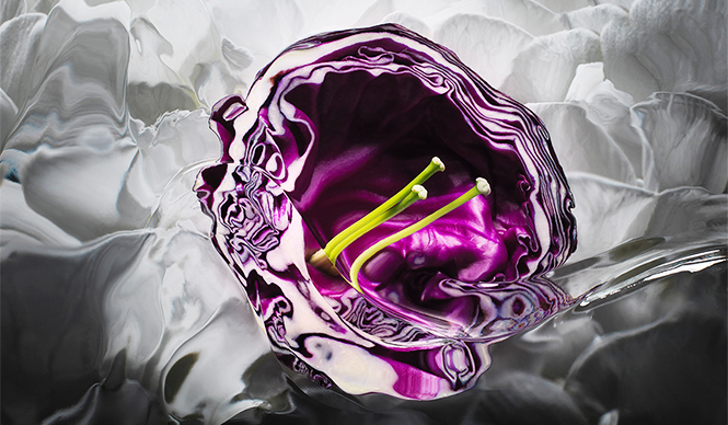 EAT｜フードアーティスト諏訪綾子があたらしい酒炭酸の味わい方を提案する「酒炭酸BAR」開催 ギャラリー