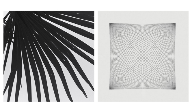 ART｜『Specimens of Time-時間の標本-』をディーゼルアートギャラリーで開催 ギャラリー