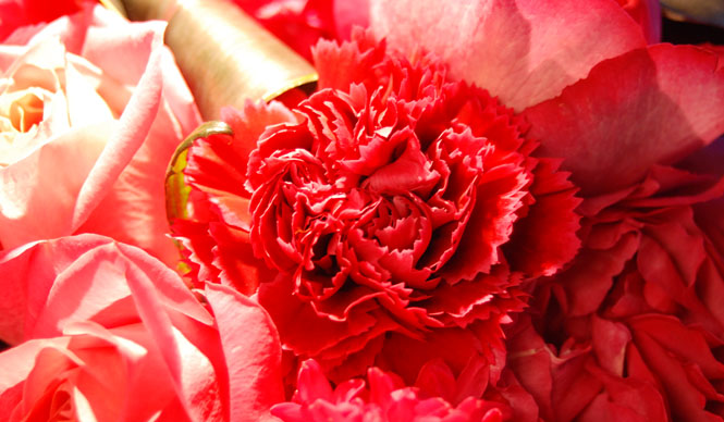 フローラリュクスが提案する「スプリングフラワーデザインと母の日」｜FLORALUXE ギャラリー