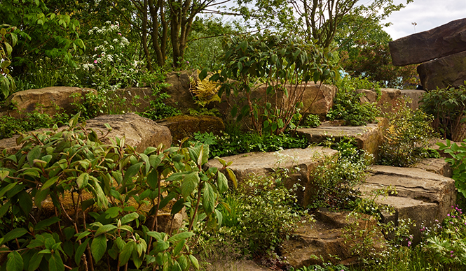 ローラン・ペリエがチェルシーフラワーショー2015で「ベスト・イン・ショー」に輝く｜Laurent-Perrier ギャラリー