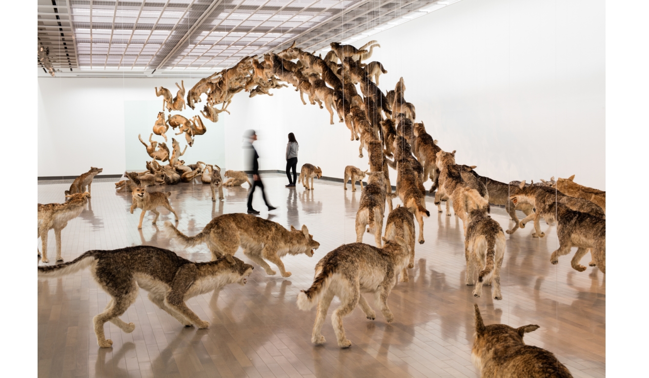 中国出身の現代アーティスト 蔡國強による『帰去来』展｜YOKOHAMA MUSEUM OF ART ギャラリー