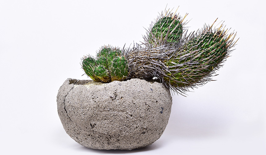 植物と真摯に向き合う展示「叢 - 器を纏う」｜ART ギャラリー