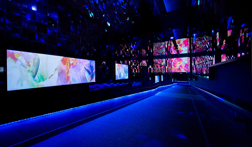 「すみだ水族館」に蜷川実花とのコラボレーション空間が出現｜LOUNGE ギャラリー