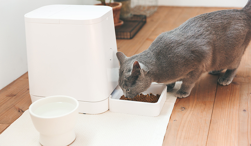 猫・小型犬用自動給餌器「PETLY」最新モデルが登場｜RINN ギャラリー