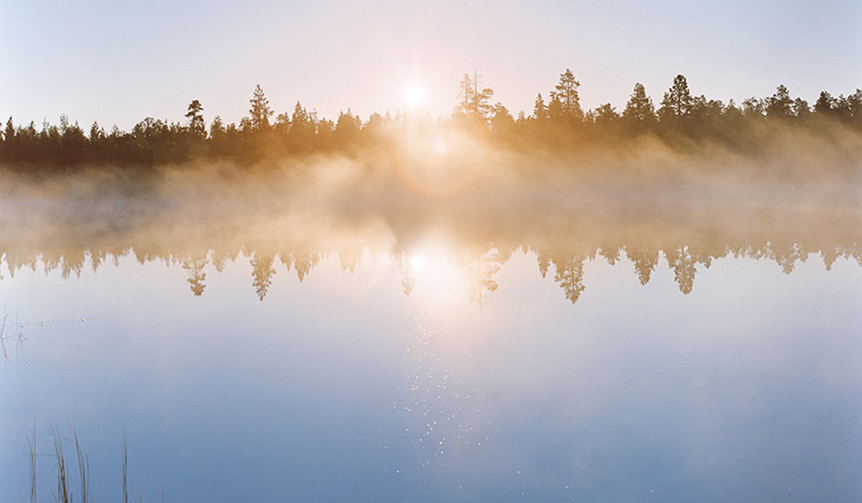 MOIMOIモイモイ　それは、フィンランドの挨拶で「やあ！」｜ART ギャラリー