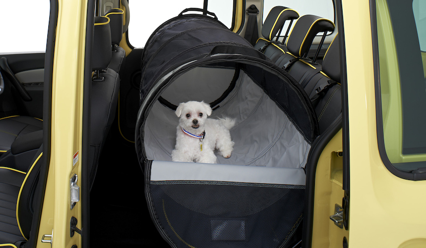 ペットとドライブを楽しむためのカングー特別仕様車｜Renault ギャラリー