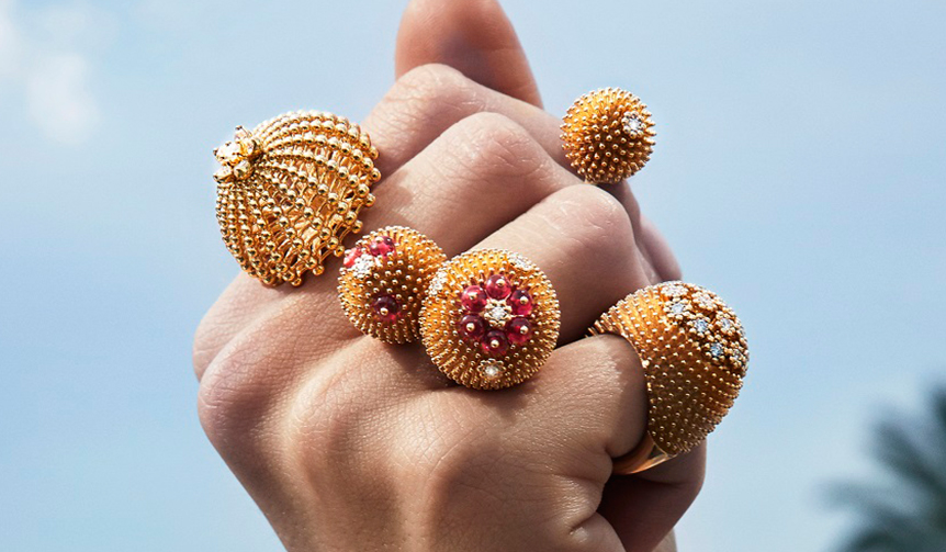 「CACTUS DE CARTIER」それは力強く大胆な、棘のある花｜CARTIER ギャラリー