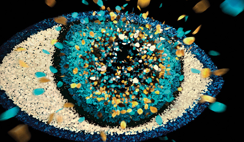 自由で大胆な“KENZOウーマン”のスピリットをリアライズする香水｜KENZO ギャラリー