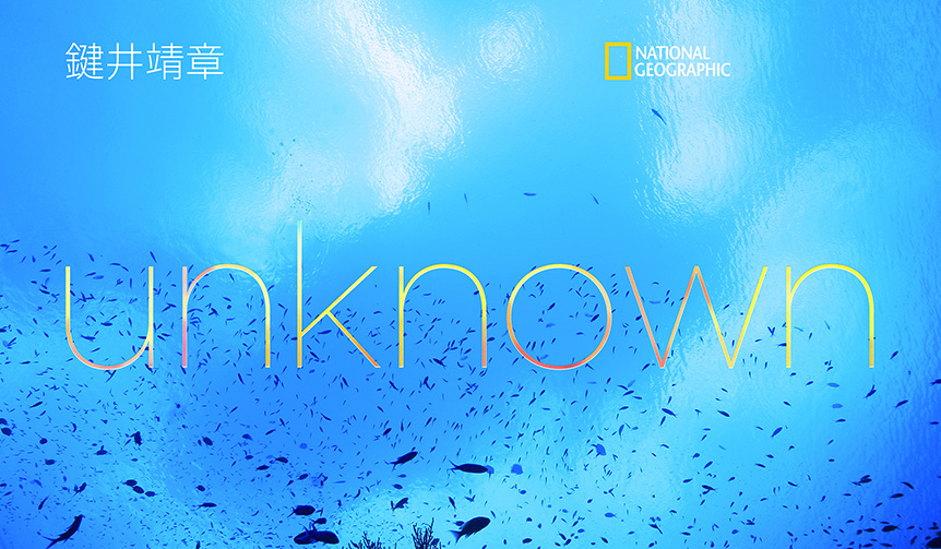 水中写真家が見た未知なる海の美しさ｜BOOK ギャラリー