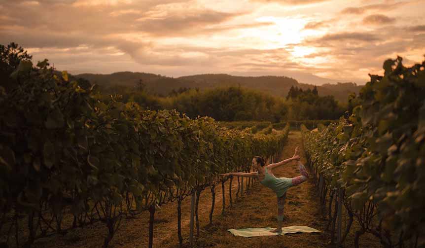 通は知っている！　こだわりの八ヶ岳シャルドネを堪能する「シャルドネステイ」｜TRAVEL　ギャラリー