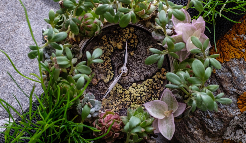 サステナブルな社会の実現と環境保全を訴求するコンセプトモデルを発表｜H.MOSER & CIE.　ギャラリー