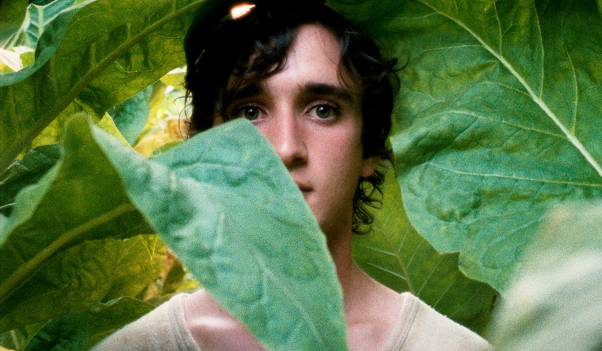 連載｜牧口じゅんのシネマフル・ライフ 第28回『幸福なラザロ』　ギャラリー