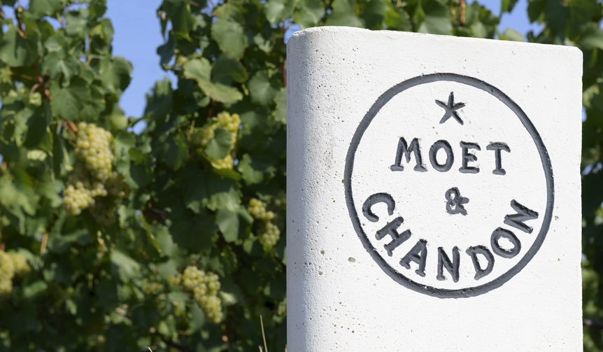 モエ・エ・シャンドン モエ アンペリアル150年アニバーサリー（1）｜ MOËT & CHANDON ギャラリー