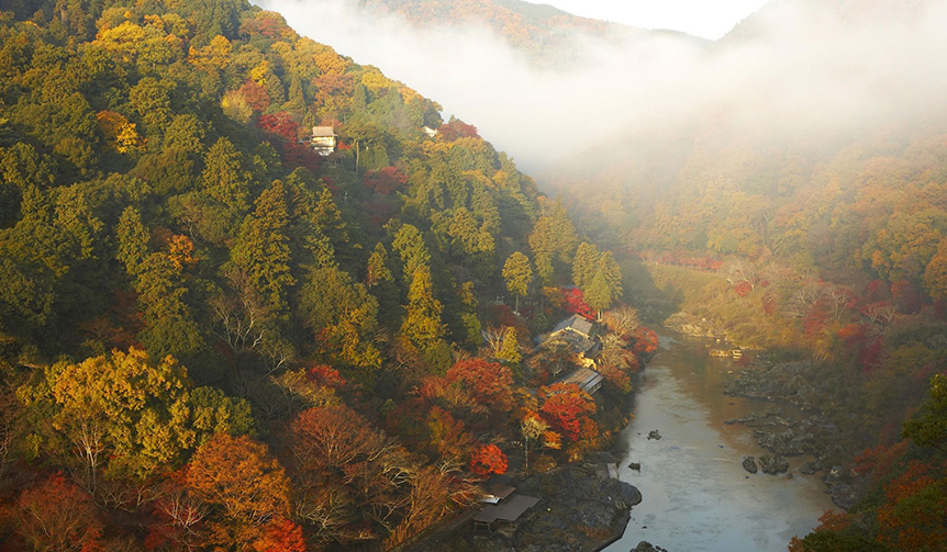 1日1組限定、紅葉に彩られた京都の街を巡る「紅葉ヘリクルーズ」｜HOSHINOYA Kyoto　ギャラリー