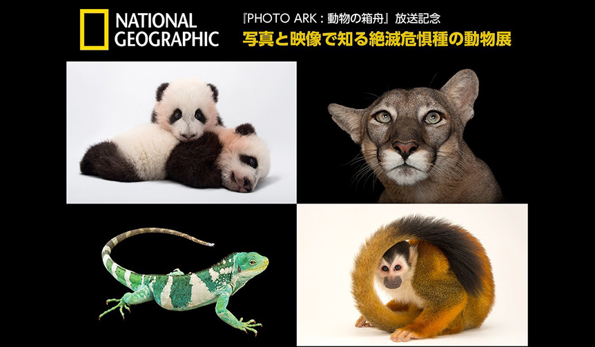 二子玉川ライズにて「写真と映像で知る絶滅危惧種の動物展」開催中｜EVENT