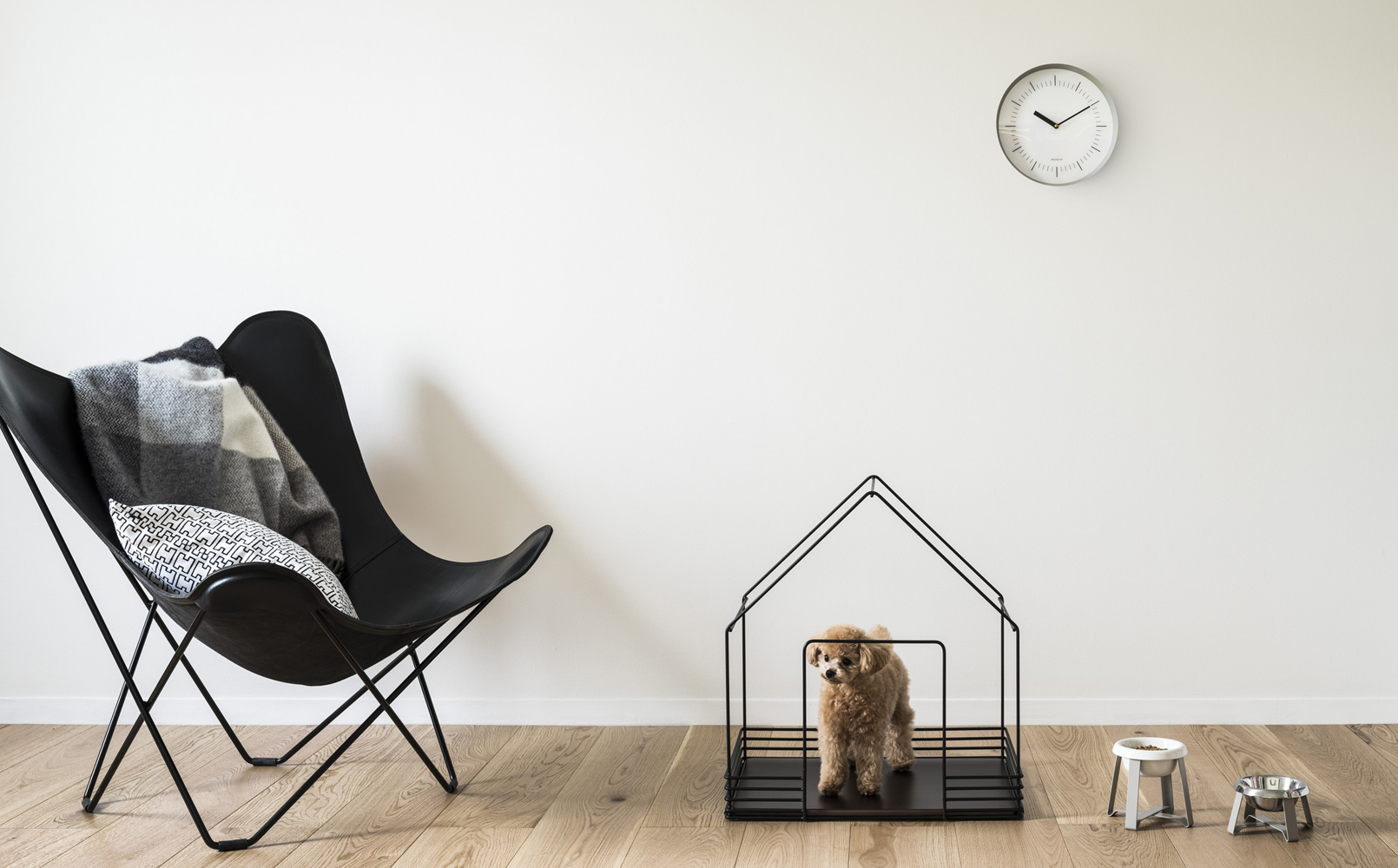 住空間に調和するスタイリッシュなペットハウスが誕生｜sanwacompany