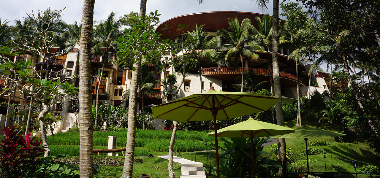 アユン川の渓谷沿い「フォーシーズンズリゾート バリ アット サヤン」で、森の渓谷美に 癒される｜TRAVEL