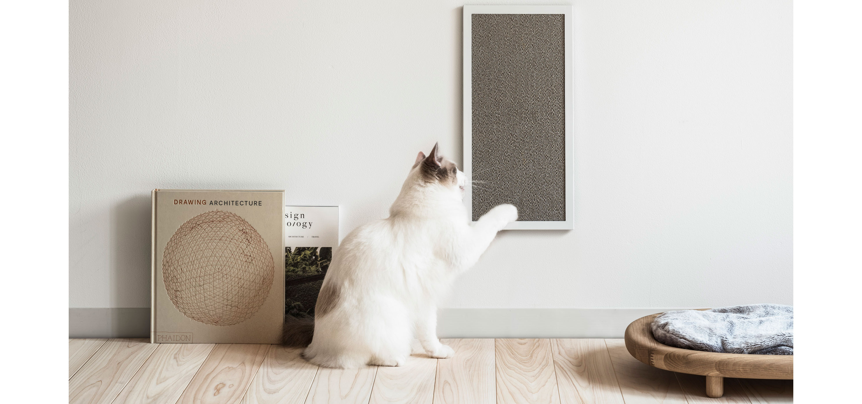 猫の健康をデザインする「RINN」と共同開発した“爪とぎ”｜sanwacompany