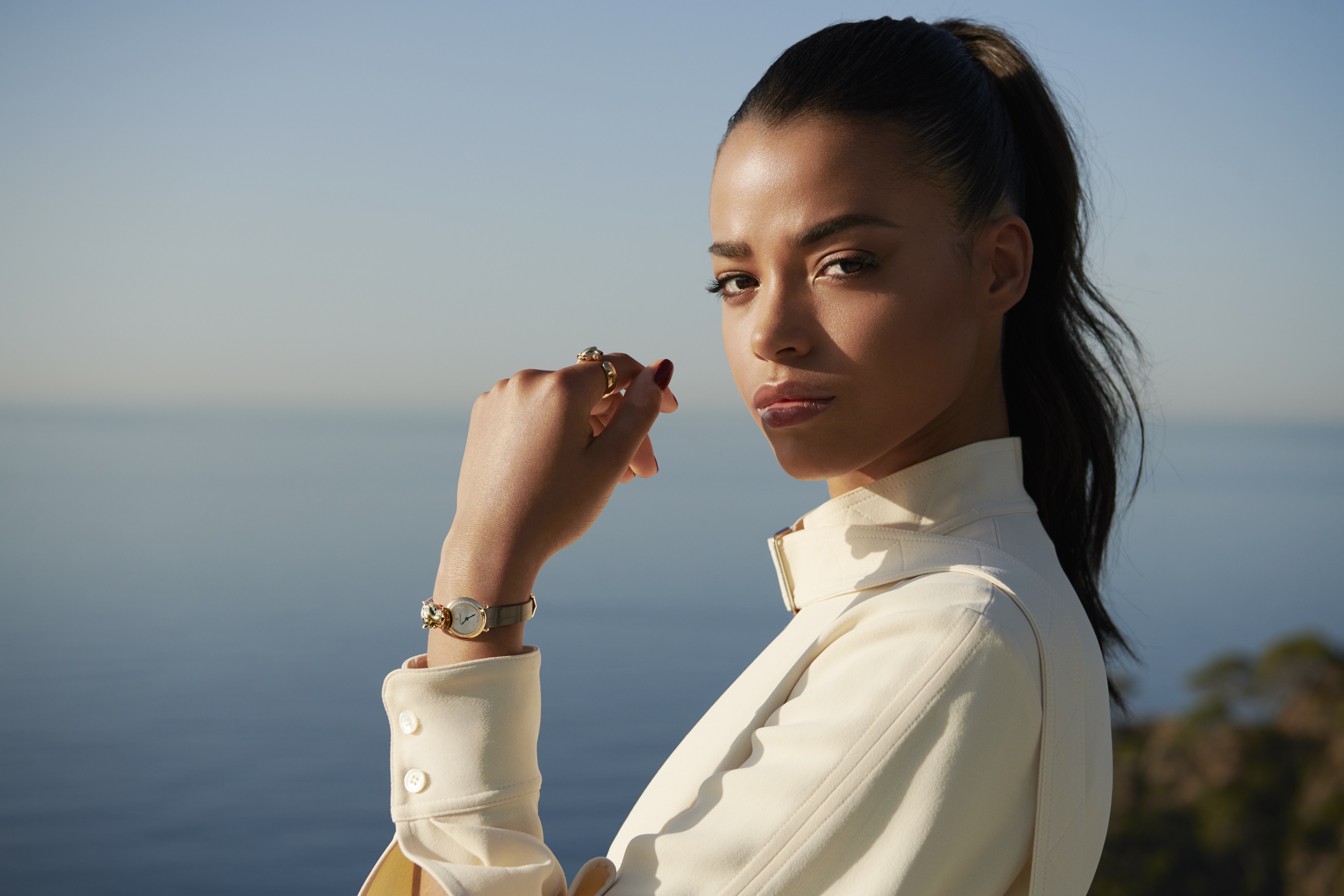 カルティエの新作ジュエリー「パンテール ドゥ カルティエ」｜Cartier