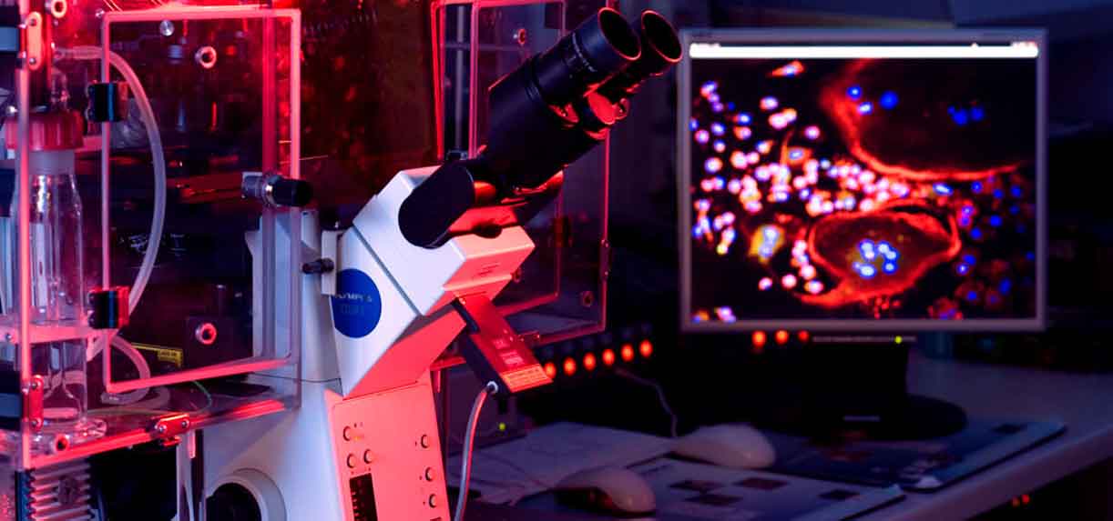 ドルチェ&ガッバーナがコロナウイルス研究のため資金援助を表明|DOLCE&GABBANA