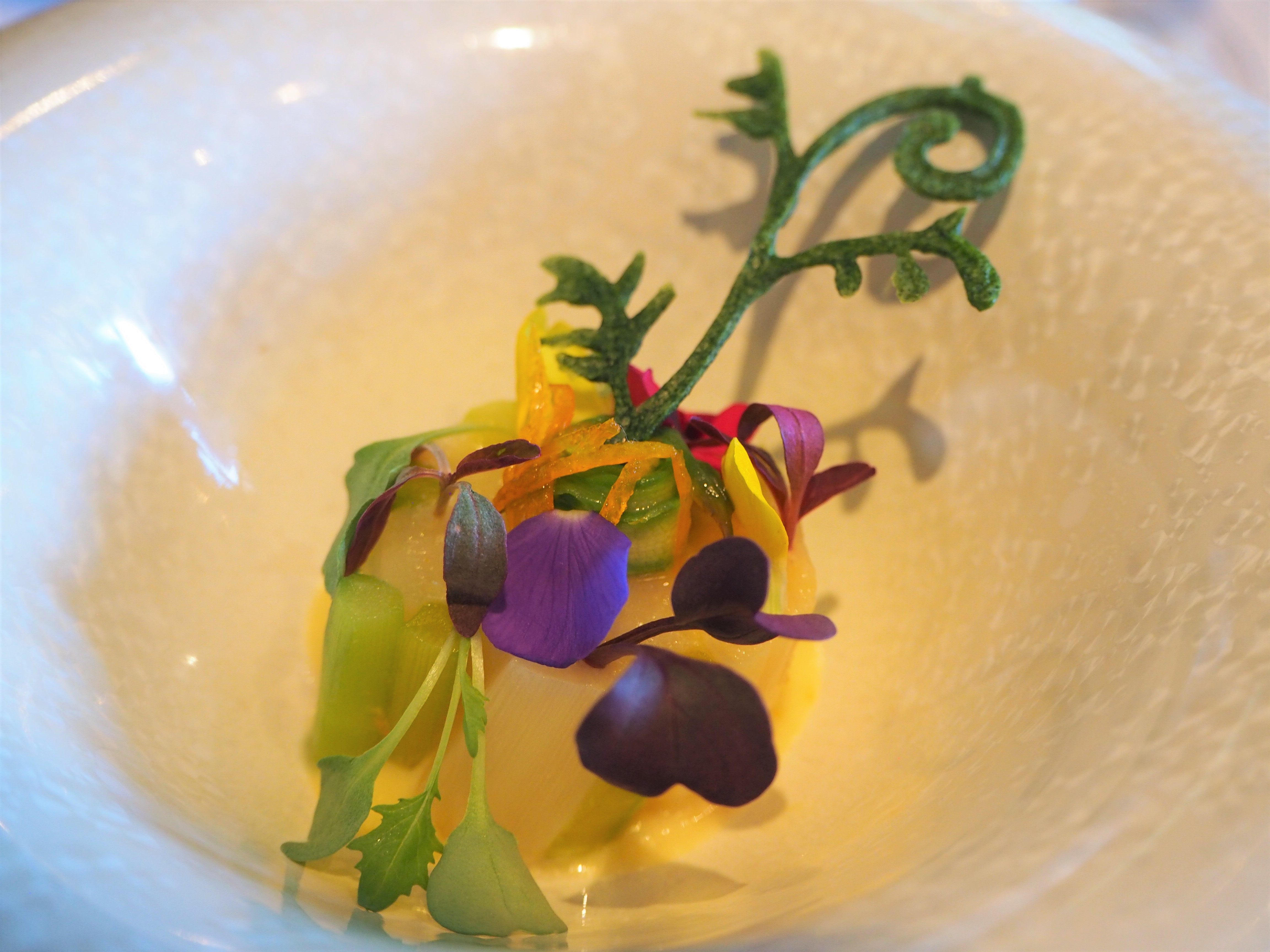 連載｜南アフリカ旅行記