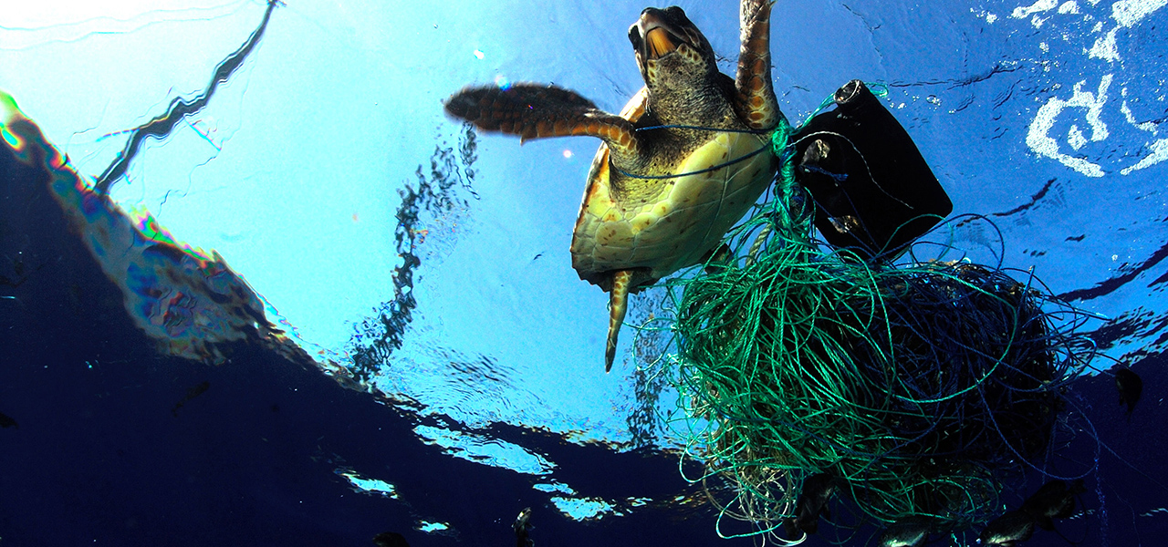 ブライトリングが取り組むSDGsのキーワードは「海の健康を守り、人生を豊かにすること」｜BREITLING