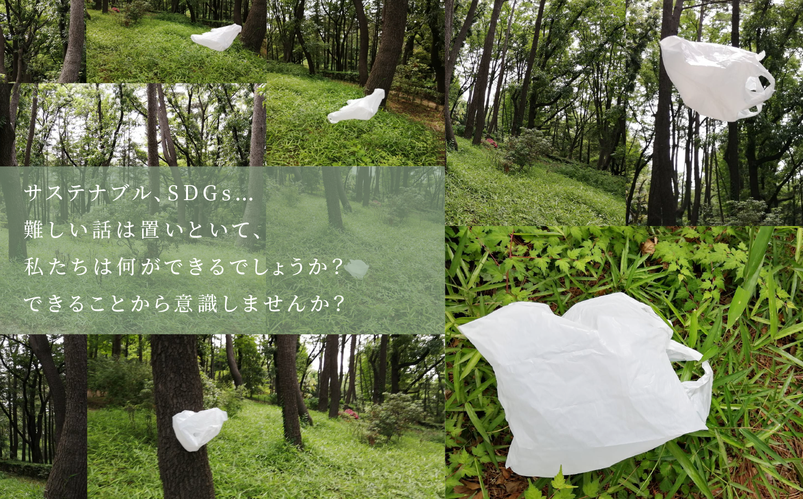 特集|OPENERSはSDGsを応援します