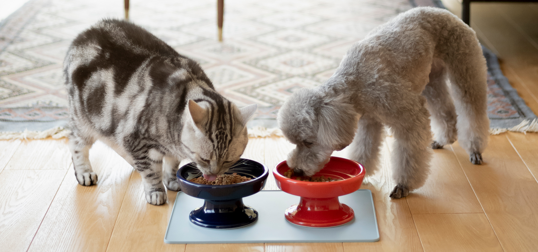 ペットのフードボウルなどのズレ・転倒を防止するシリコーン製フードマット｜HASAMI 